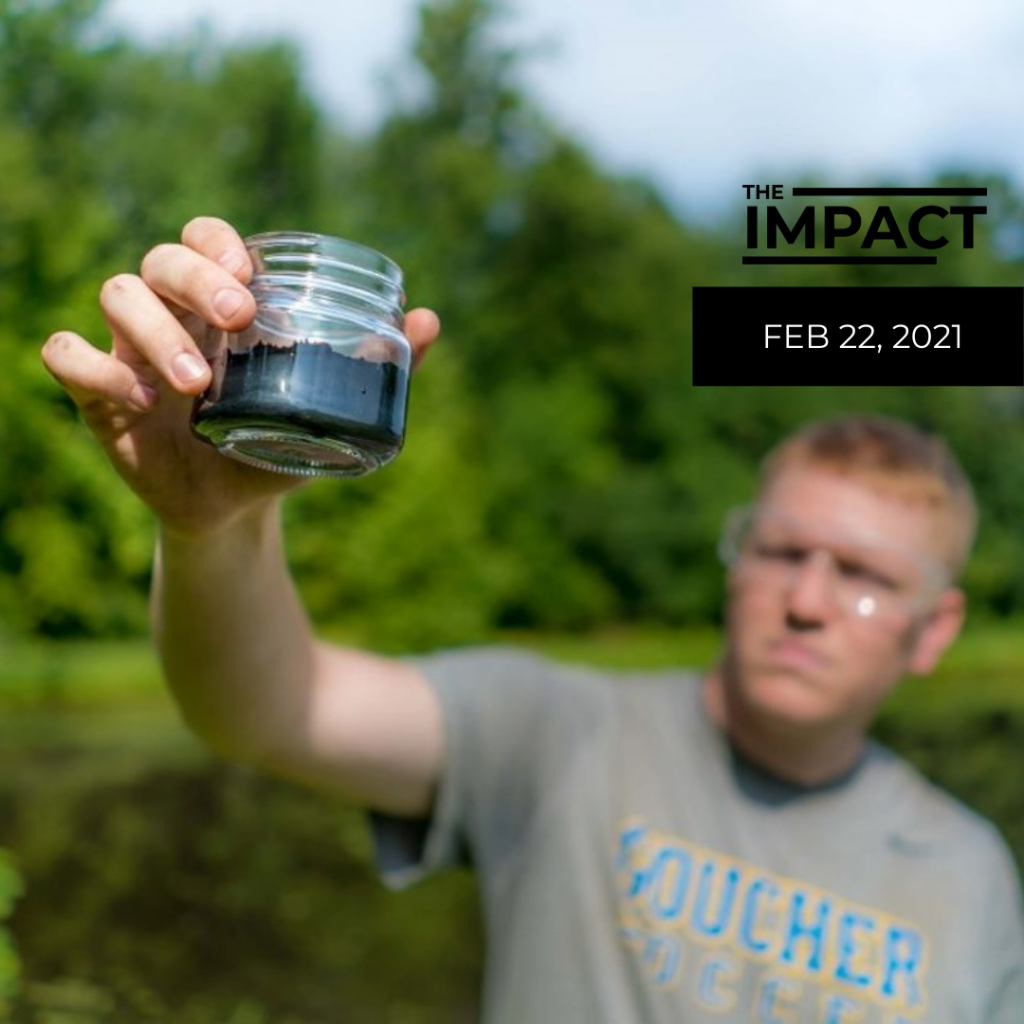 The Impact Newsletter