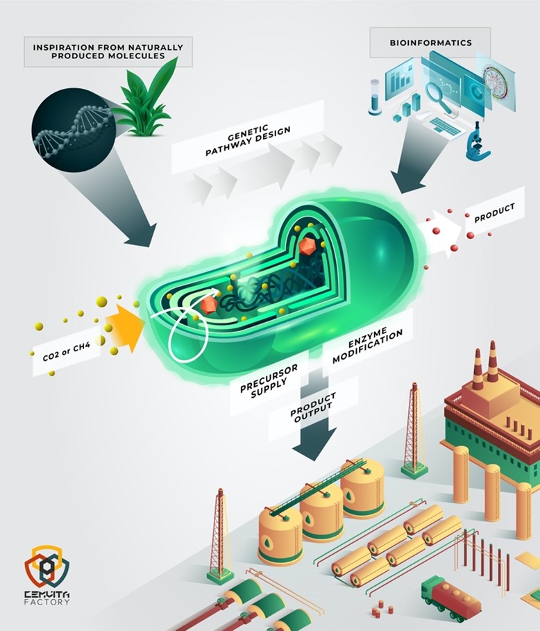 Turning greenhouse gases into chemicals (Image: Cemvita Factory)