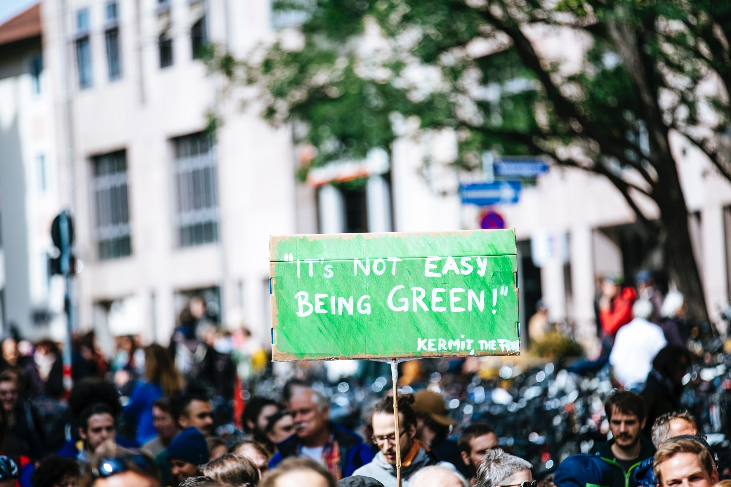 We need a different approach to hit net zero by 2050. (Image: Unsplash)