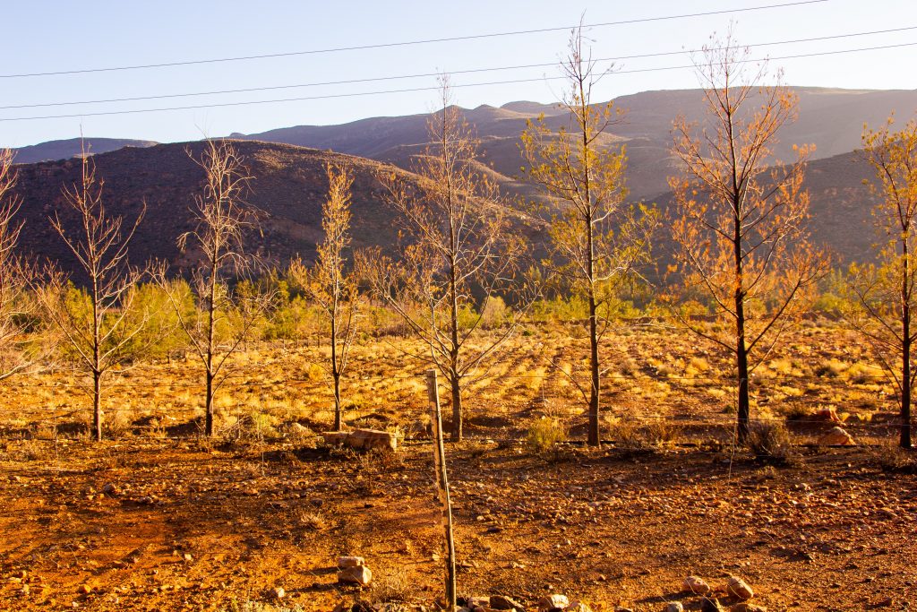 Another drought is crushing California, how are startups helping solve this challenge. (Image: Unsplash)