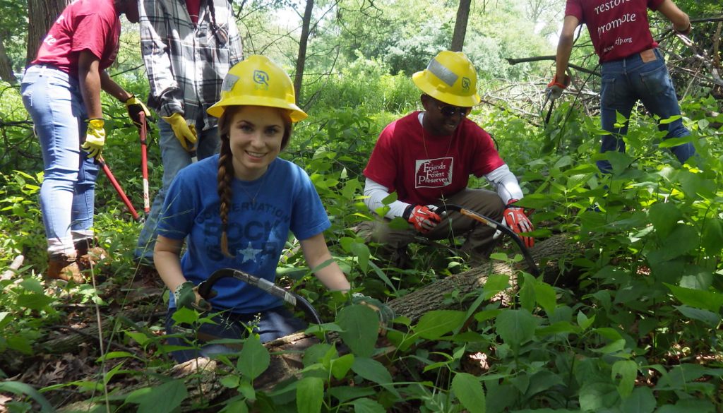 Conservation requires understanding how much carbon a tree can actually capture. (Image: Forrest preserves of cook county)