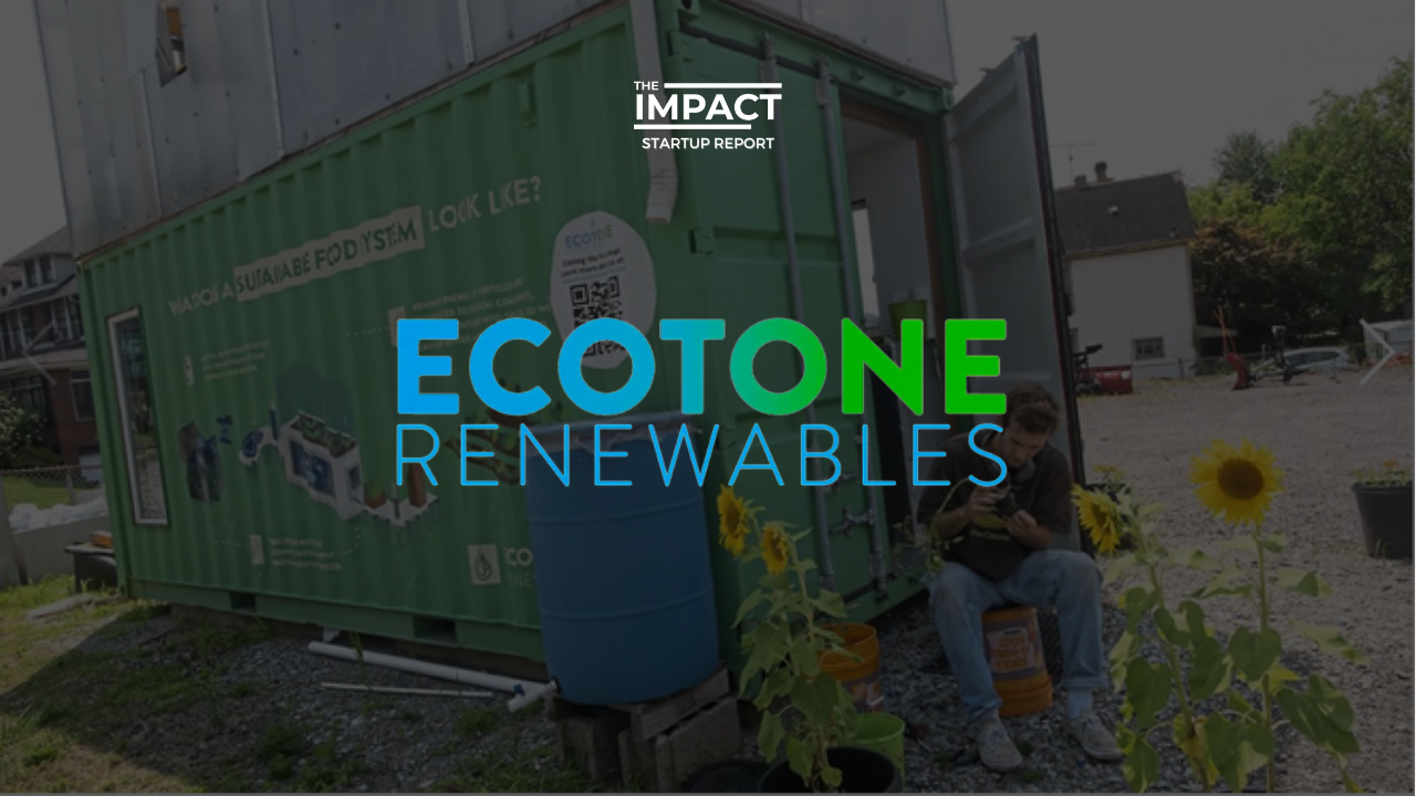 Ecotone renewables impact startup report