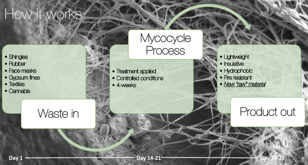 An image explaining mycocycle's waste recycling process
