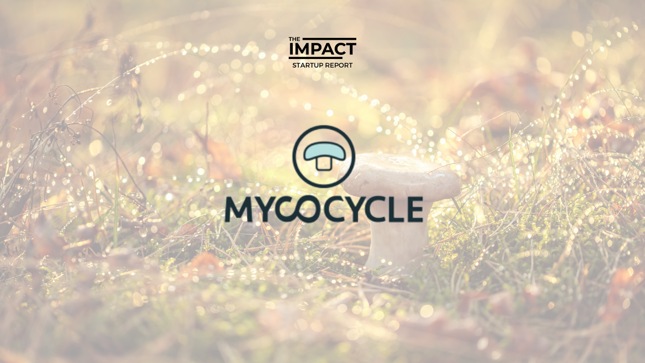 An image showing a mushroom and Mycocycle's logo